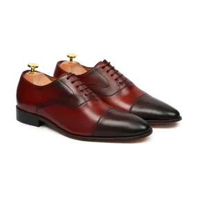 COTTBUS - BURNISH OXBLOOD OXFORD