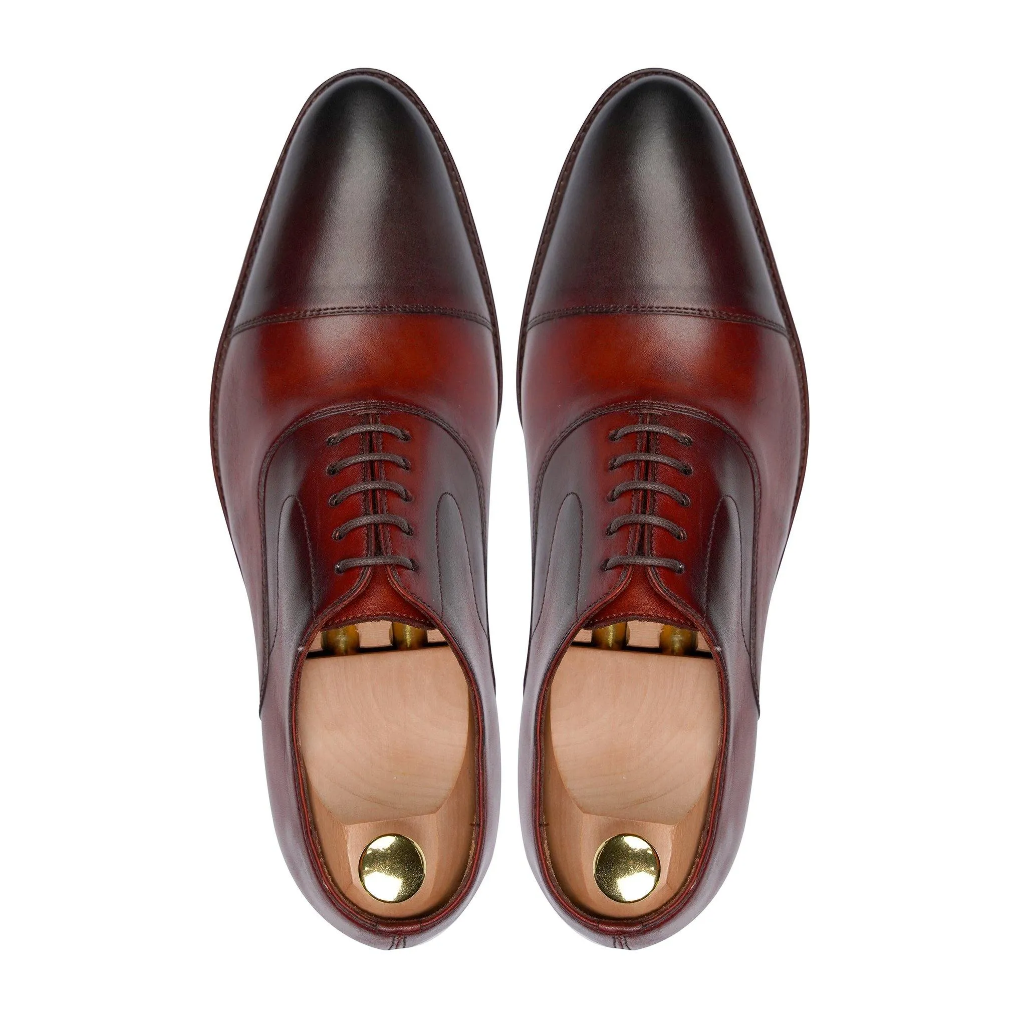 COTTBUS - BURNISH OXBLOOD OXFORD